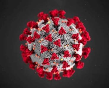 Koronavirüsün kökeni, 20 bin yıl önceye dayanıyor