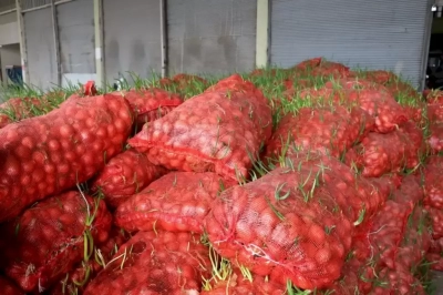 Stokladınız da ne oldu? 22 ton soğan çöp oldu