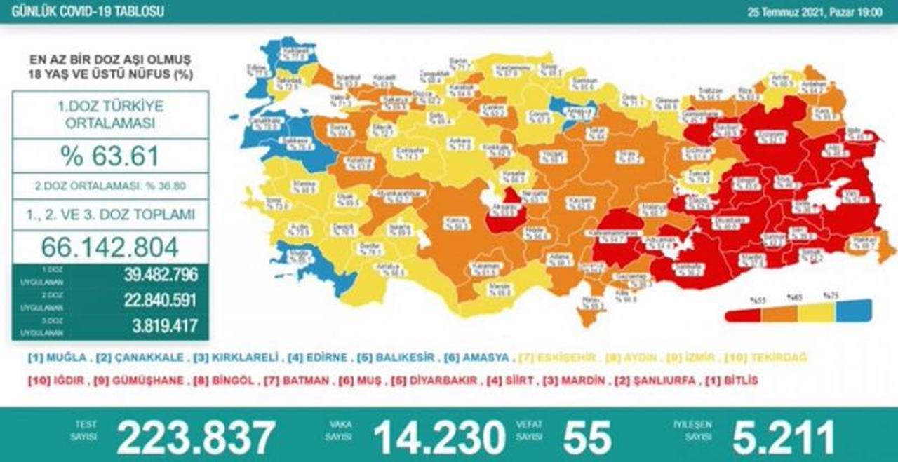 25-Temmuz-Koronavirus-Tablosu.jpg