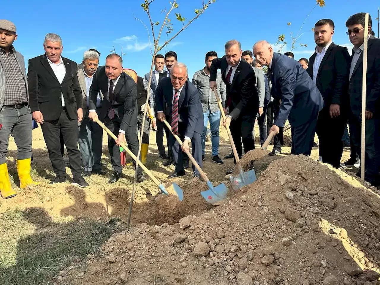 Cem-Tutsoy-Yusuf-Kanli-Mustafa-Tumay-Sahin-Bilgic-Fidan-Dikimi.webp