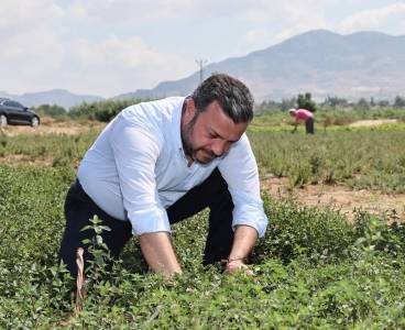 Lokman Hekim Topraklarında Şifa Hasadı