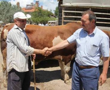 Kurban satış ve kesim yerlerinde alınacak tedbirler açıklandı