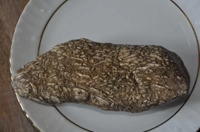 Şırnak’ta, milyonlarca yıllık olduğu tahmin edilen buğday fosili bulundu