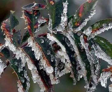 5 il için kritik buzlanma uyarısı