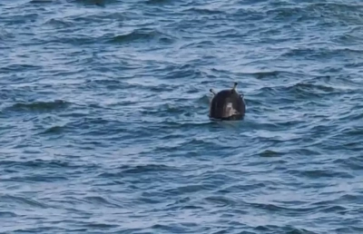 İstanbul Boğazı'nda mayın paniği