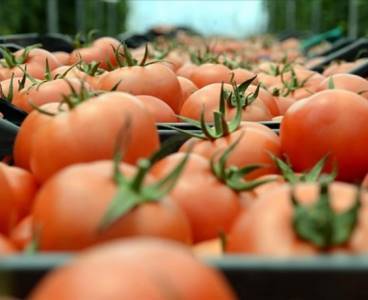 Kasım ayının zam şampiyonu domates oldu
