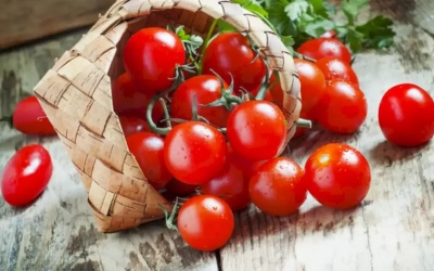 Bu kış domatesin fiyatı 50 TL mi olacak?