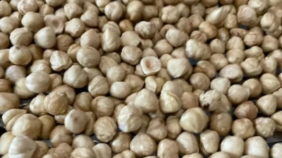 Türk fındığı yeni pazar arayışında