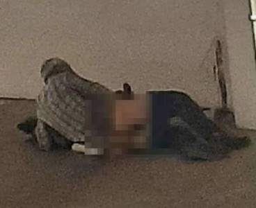 Köpeğe tecavüz ederken yakalandı, serbest bırakıldı