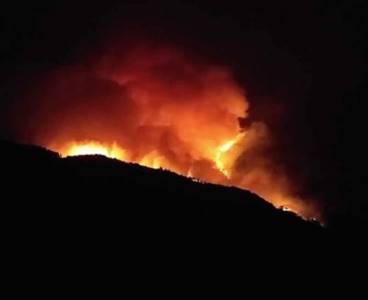 Kozan'da Can Pazarı