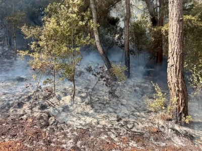 Kozan’daki 2 orman yangınından biri kontrol altına alındı