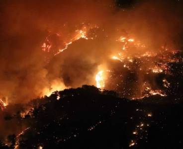 Mersin ve Hatay'daki ormanlar alevlere teslim