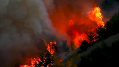 Ormanı yakanlara 10 yıla kadar hapis cezası