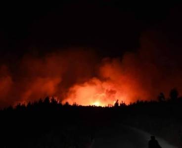 Aladağ'da orman yangını