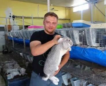 Öğretmenliği bıraktı tavşan çiftliği kurdu