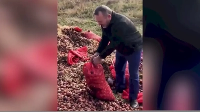 Vatandaşlar isyan etti: Tonlarca soğan yol kenarına döküldü